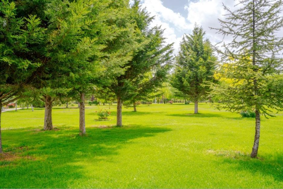 Korel Thermal Resort Afyonkarahisar Buitenkant foto
